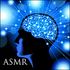ASMR Cover [Generic]