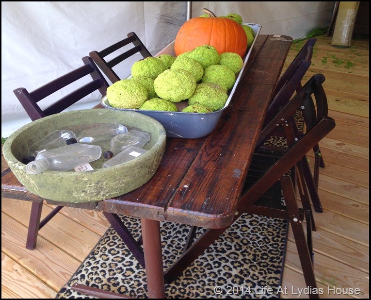 Round top table centerpiece with pumpkin and osage oranges via Life At Lydias House