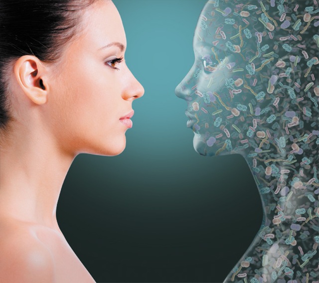 todo sobre las bacterias. discovery channel. documental