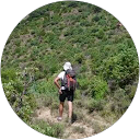 Philippe Sees profile picture