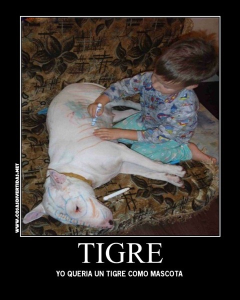 [TIGRE%2520COSASDVIERTIDAS%25201%255B2%255D.jpg]