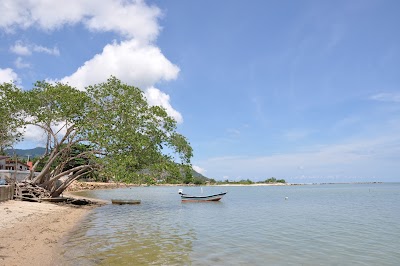 DSC_0782.JPG