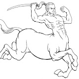 zentaur-7122.jpg