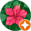 Image Google de Clarisse ROUSSET