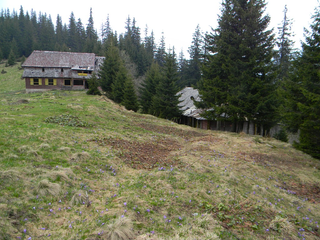 [DSCN52363.jpg]