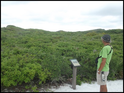 Dune hike & rain paddle 037