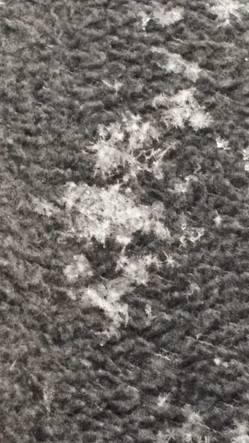 snowflakes on my arm (cell photo by Trisha)