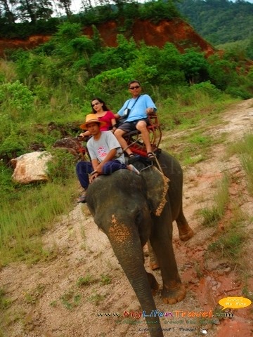 [Phuket-Rida-Elephant-433.jpg]