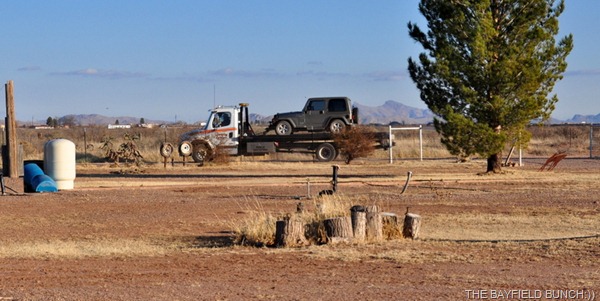 DSC_0087 DSC_0087