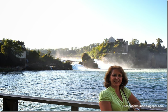 19-Cataratas del Rin (Schafhausen) - DSC_0359