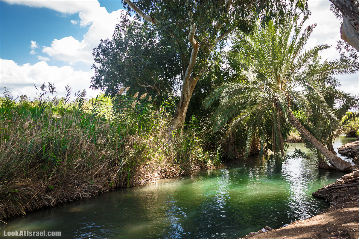 Песах в Долине Родников | Passover in Springs Valley| פסח בעמק המעיינות | LookAtIsrael.com - Фото путешествия по Израилю