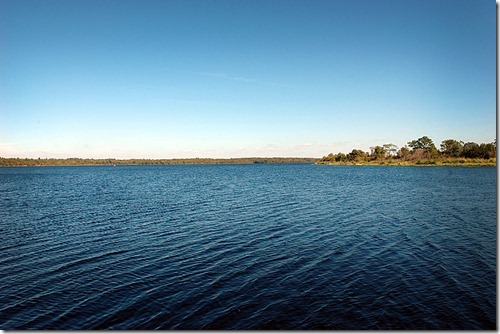 Lake-Manatee-View