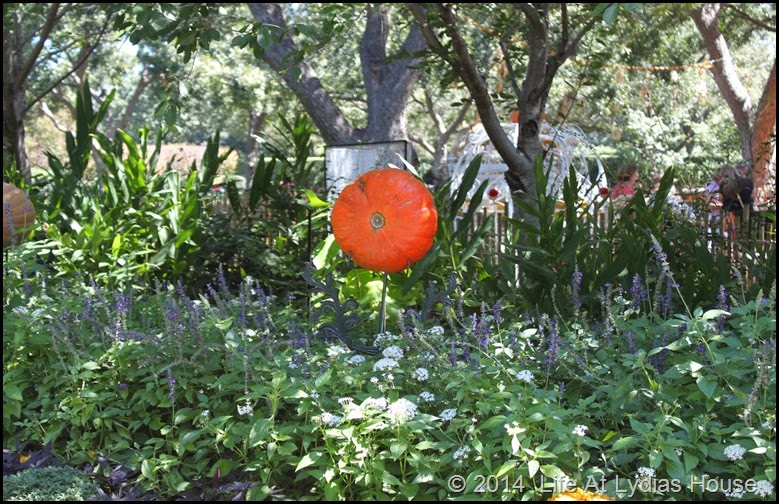 Dallas Arboretum - pumpkin festival-pumpkin 1