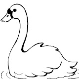 bswan.jpg