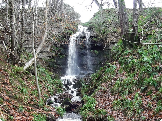 waterfall near blanchland