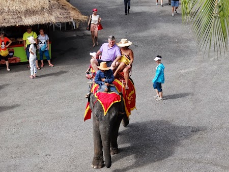 20. turisti calare pe elefanti.JPG