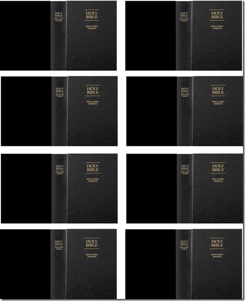 mini bible covers