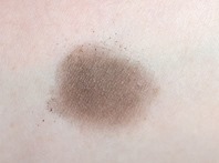 Josie Maran Eyeshadow_Iron swatch