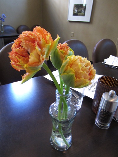 Novelty Orange Tulips | Ideas in Bloom
