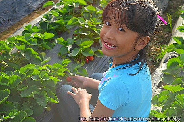 http://jadspiritsfamilylifeadventures.blogspot.com/2014/09/11-places-to-visit-in-baguio-in-1-days.html DSC_1020