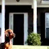 Most Funny Best of Funny cats, cute cats, Top 10 funny dogs, funny animals funniest videos9