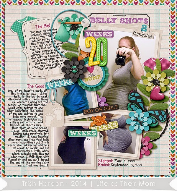 2nd Trimester - Trish Harden - Life As Their Mom