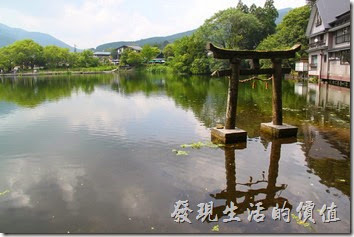 日本北九州自由行-金鱗湖