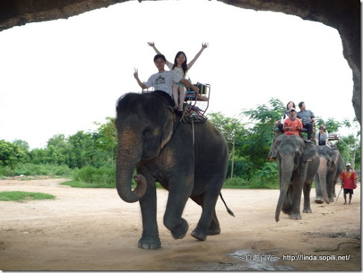 泰國芭達雅-騎大象1