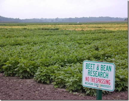 Research at the Saginaw Valley Bean and Beet Farm has enabled farmers to harvest more beans per acre and remain No. 1 in dry bean production nationally.