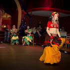 IMG_9235.jpg