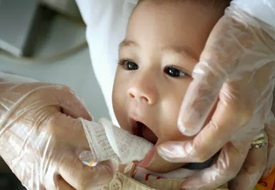 Forma correta de higienizar os dentes dos bebês
