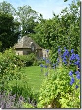 cottage and delphiniums
