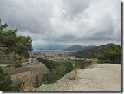 IMG_8039 IMG_8039