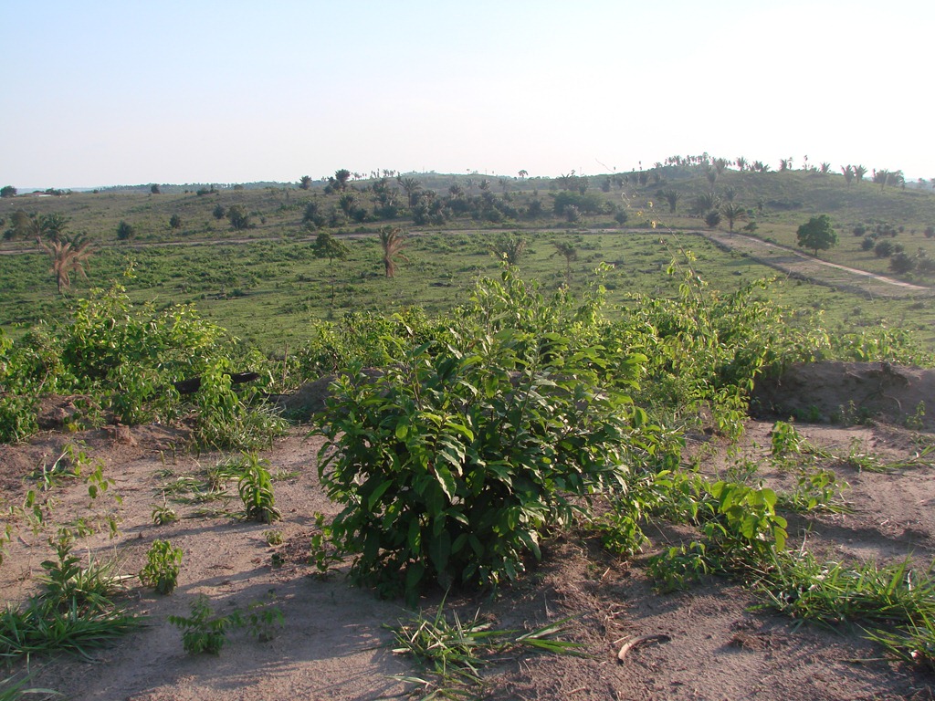 [O%2520futuro%2520bairro%2520ser%25C3%25A1%2520localizado%2520as%2520margens%2520da%2520BR%2520222%255B5%255D.jpg]