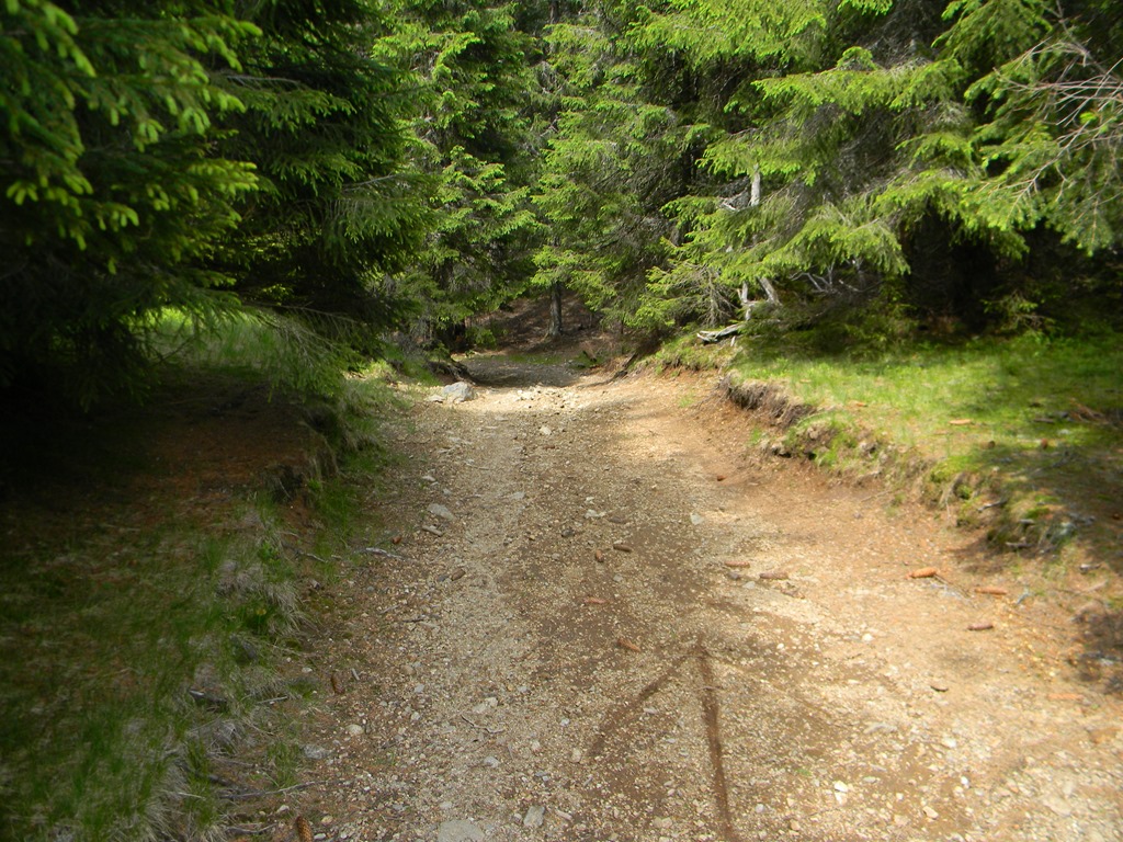 [DSCN28943.jpg]