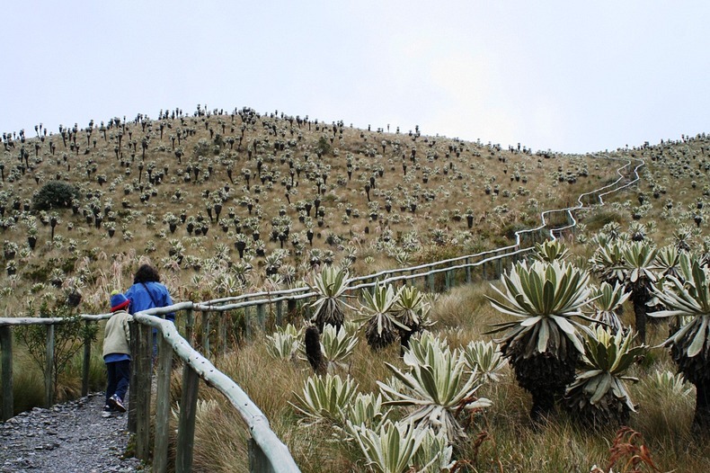 el-angel-paramo-9