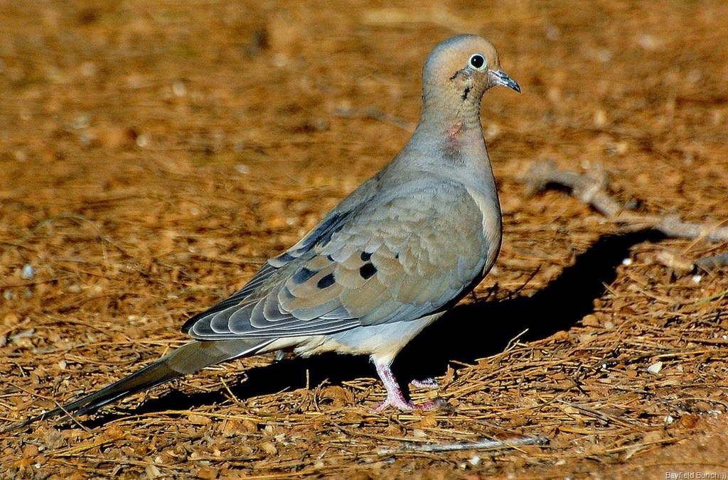 [DSC_3405%255B3%255D.jpg]