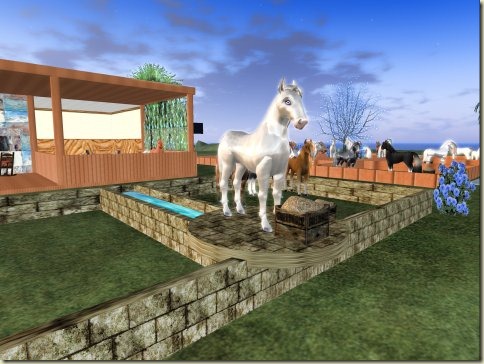 Hayati's Horse Ranch in Wharf 02