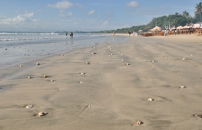DSC_0042.jpg