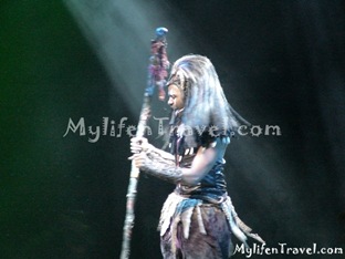 Lion King Disneyland HK 15 Lion King Disneyland HK 15