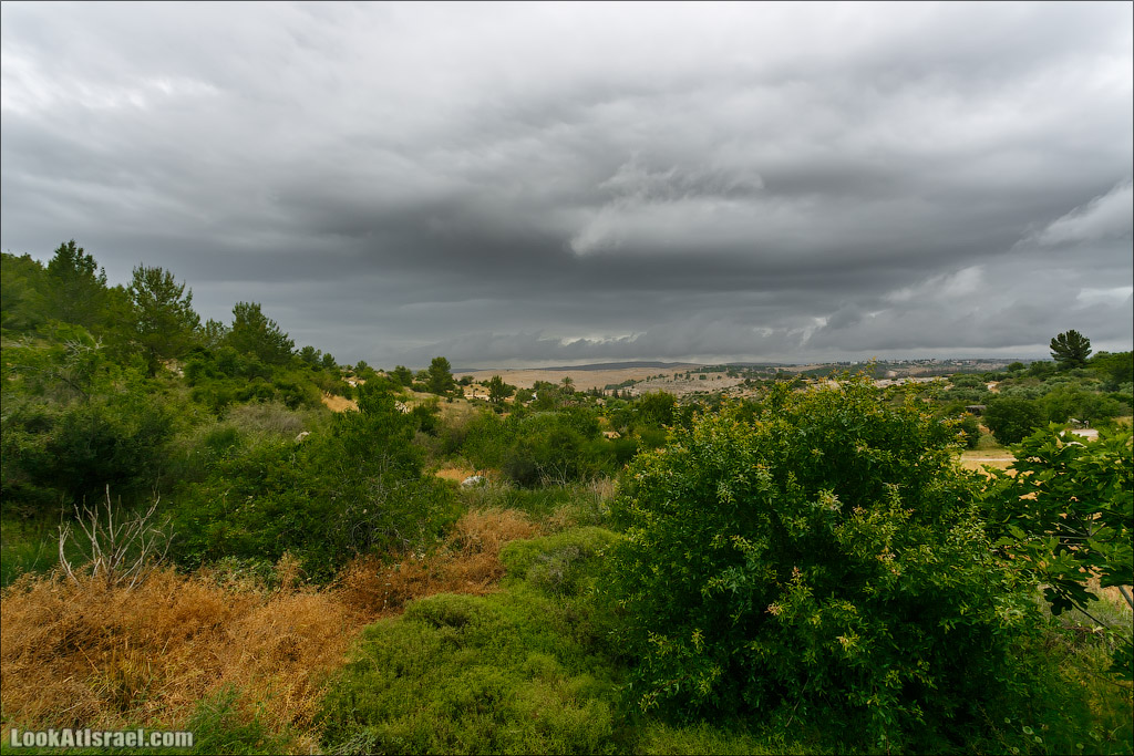 Неот Кдумим - Заповедник библейской природы | נאות קדומים