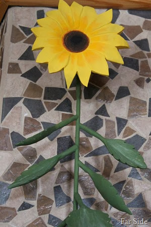 Tall sunflower
