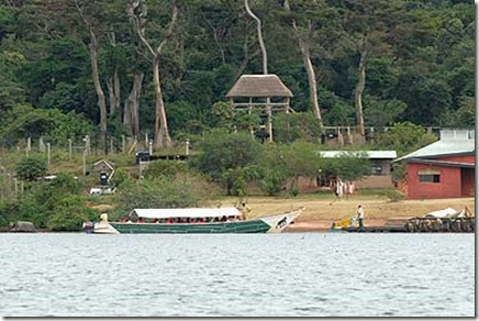 Ngamba Island Chimpanzee Sanctuary  sitted on Lake Victoria