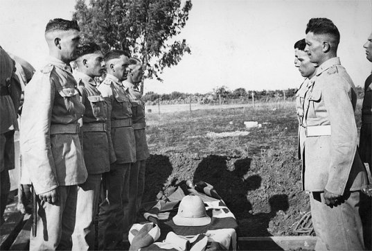 LookAtIsrael.com - Британское кладбище и могила Гарри Поттера в Рамле, Израиль | British cemetry and Harry Potter burial at Ramle, Israel