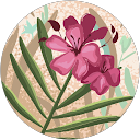 Image Google de Deleu Patricia