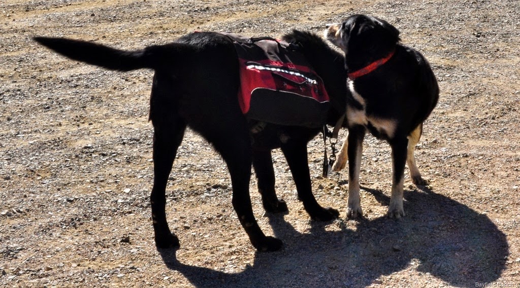 [DSC_0021%255B4%255D.jpg]