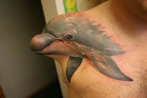 [stumpy-the-dolphin-tattoo%255B4%255D.jpg]