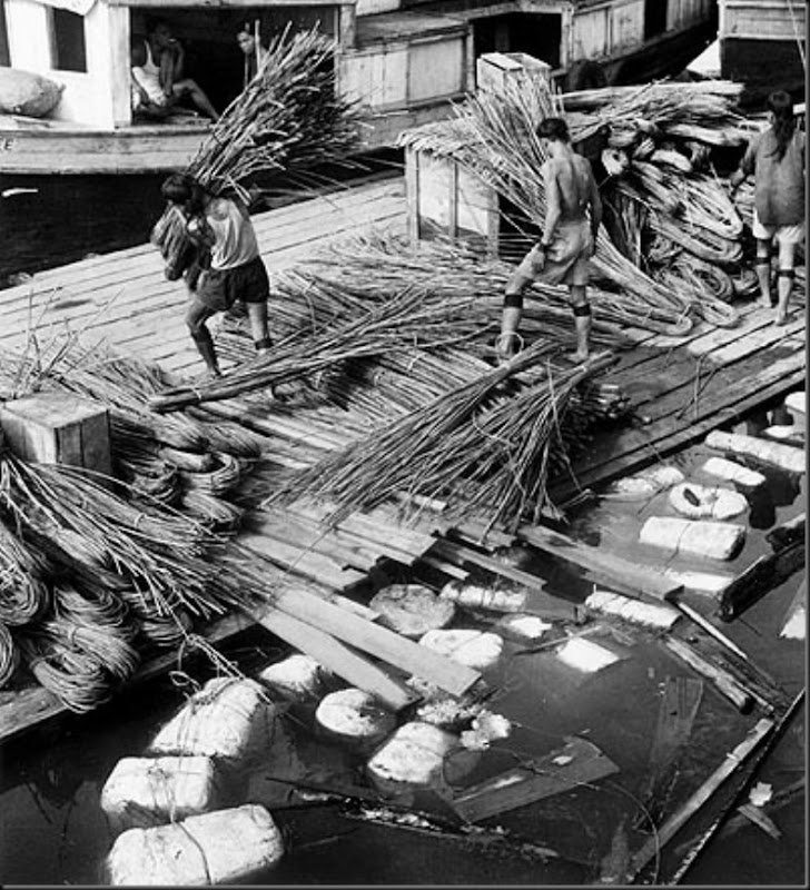 OLTRE IL MURO ARTE e FOTOGRAFIA HEDDA MORRISON PHOTOGRAPHER