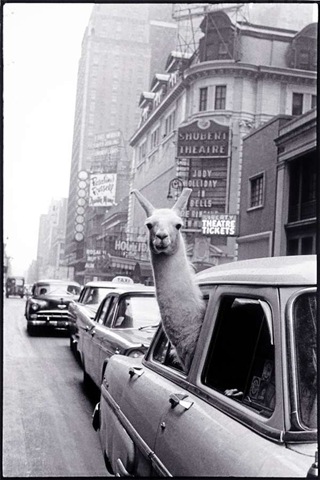 [clip_image025%255B3%255D.jpg]