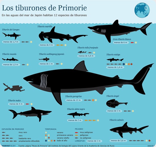 tiburones primorie tiburones primorie